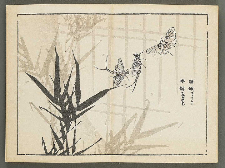 Bairei gafu (Churui no bu) by Kono Bairei / BJ351-120