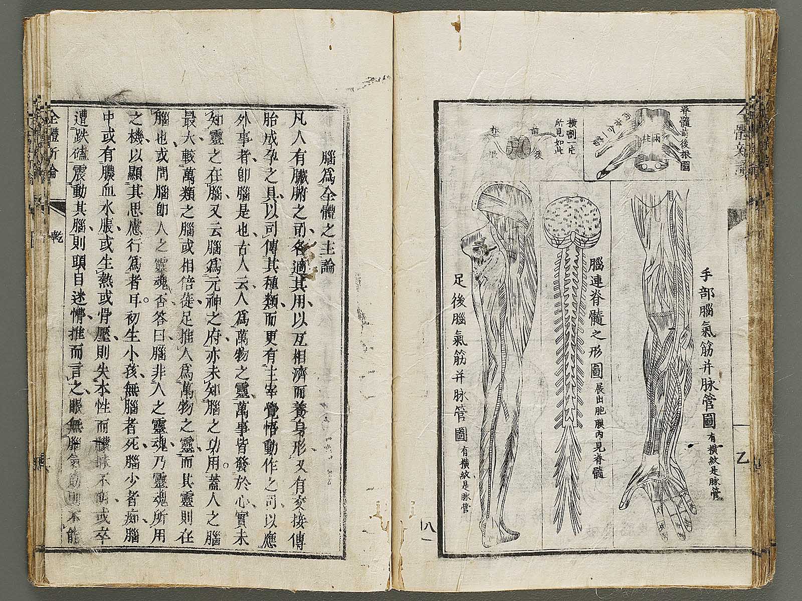 つんつくつん 摘突詰 (つんつくつん)とは【ピクシブ百科事典】