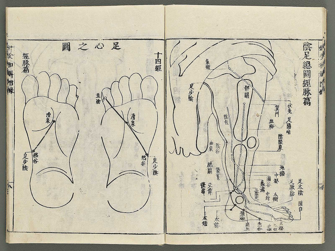 Shikyu wage (furoku) by Okamoto Ippo / BJ347-459