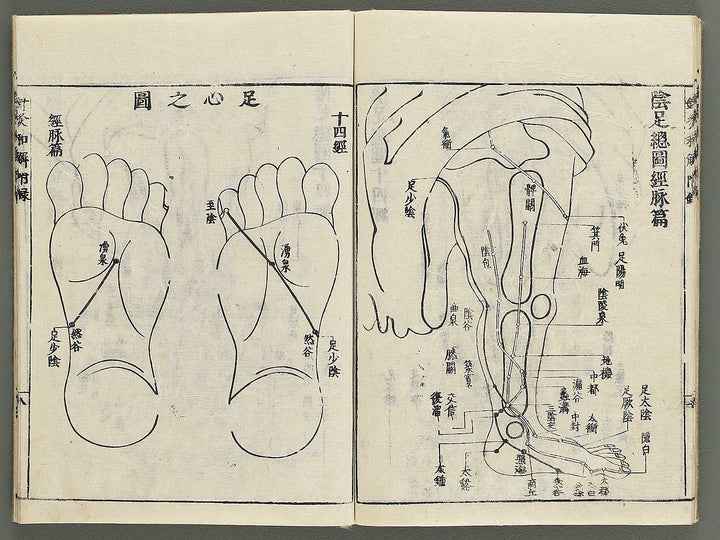 Shikyu wage (furoku) by Okamoto Ippo / BJ347-459