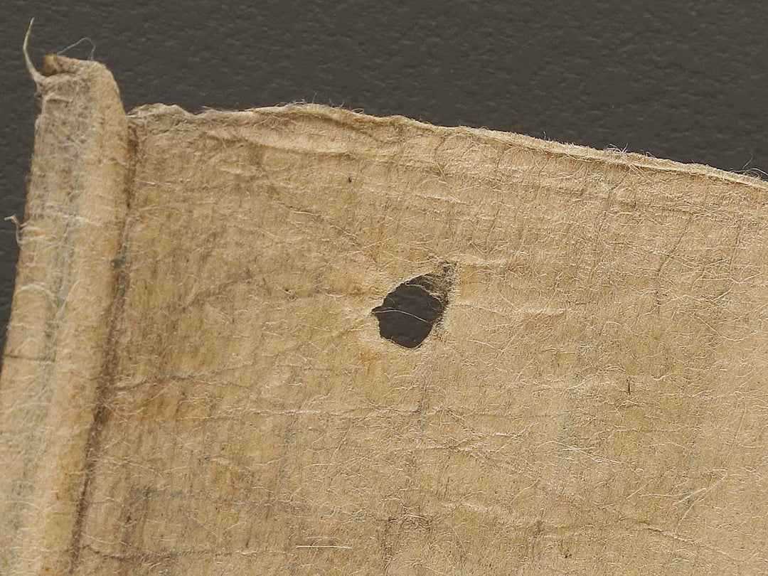 Onna Narukami / BJ324-261