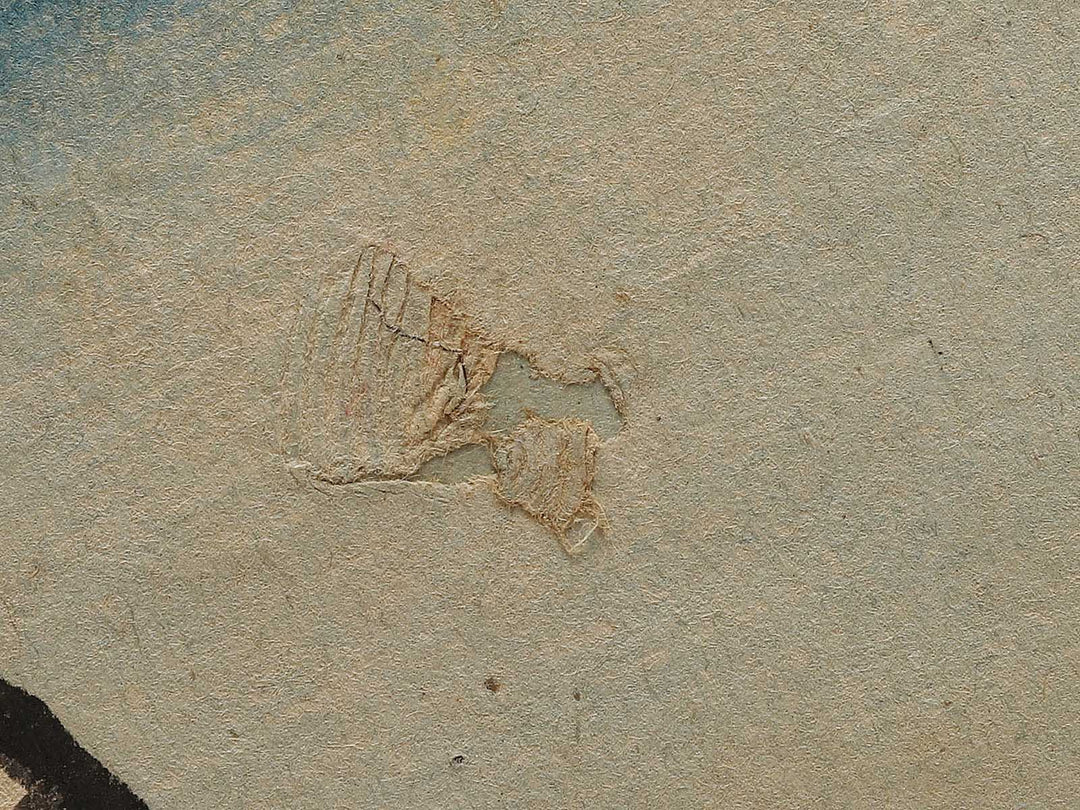 Tsugaru Chitosegawa Seikichi by Hachisuka Kuniaki / BJ337-582