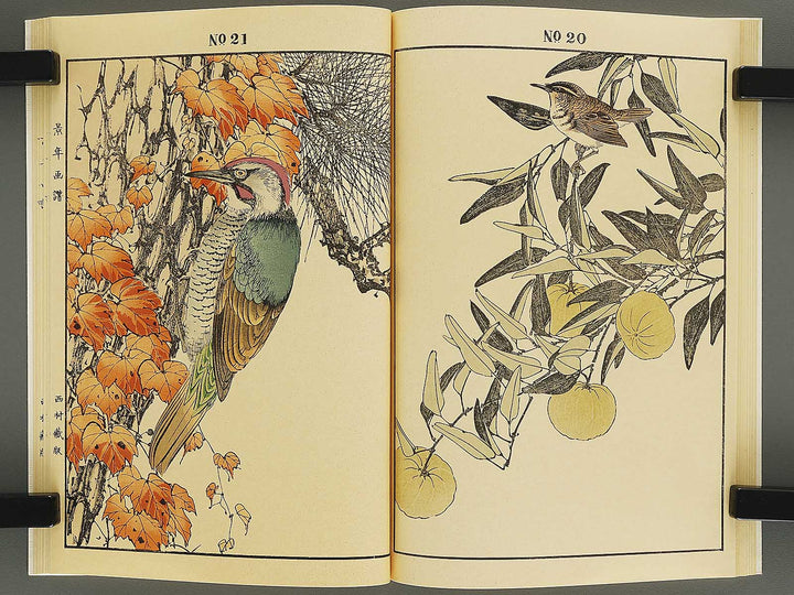 Keinen kacho gafu (fuyu no bu) by Imao Keinen / BJ337-834