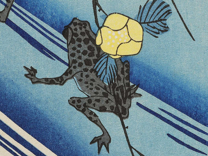 Japanese mountain rose and frog by Utagawa Hiroshige, (Medium print size) / BJ328-069
