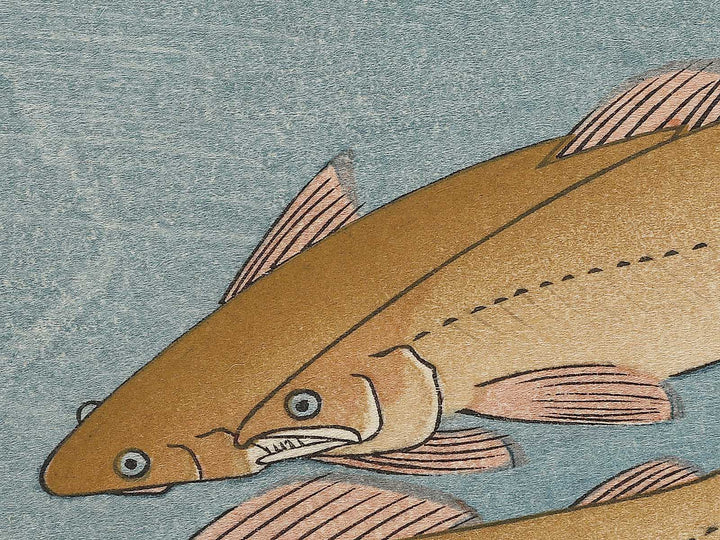 Ayu from the series the series FISH by Utagawa Hiroshige, (Large print size) / BJ324-821