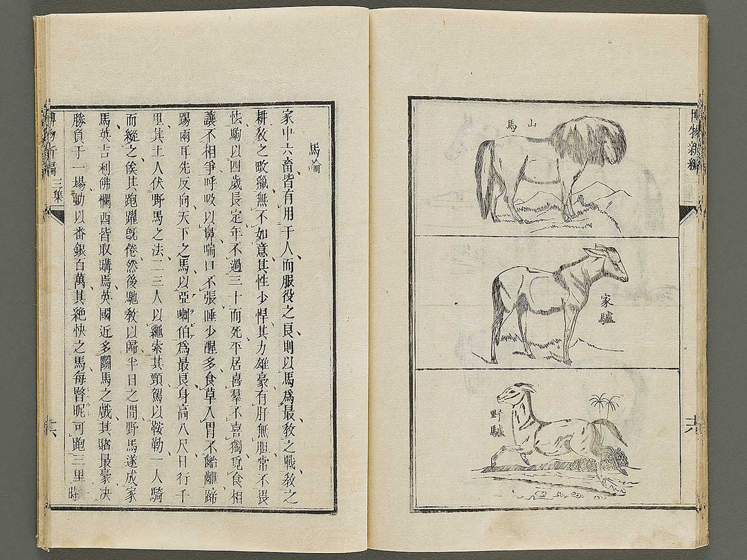 Hakubutsu Shinpen Volume 3 / BJ336-476