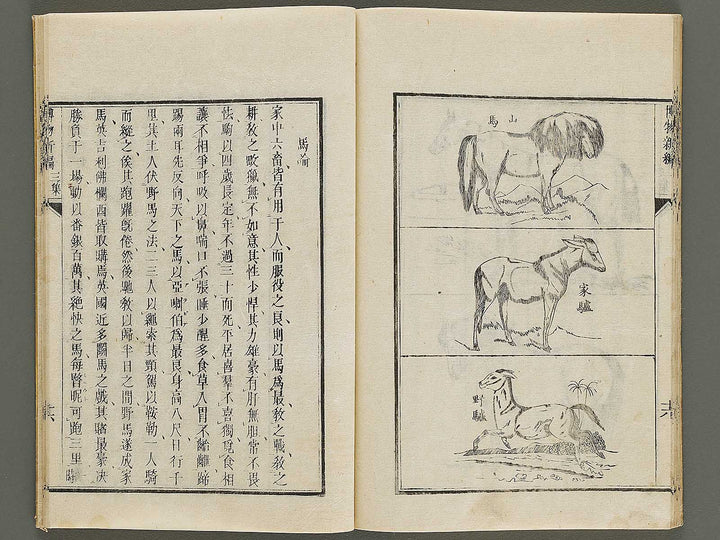 Hakubutsu Shinpen Volume 3 / BJ336-476