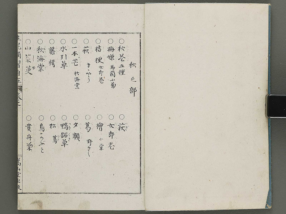 Shoryu hiden ikebana dokushu jizai Volume 4 / BJ332-759