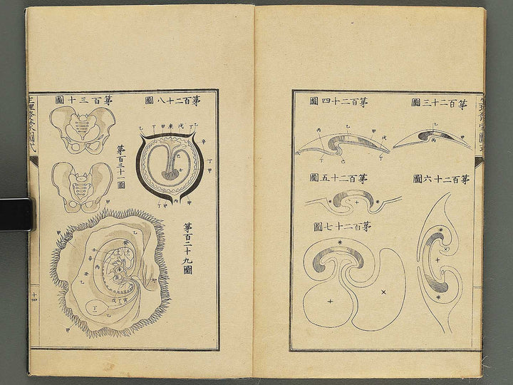 Seiri hatsumo zushiki / BJ343-658
