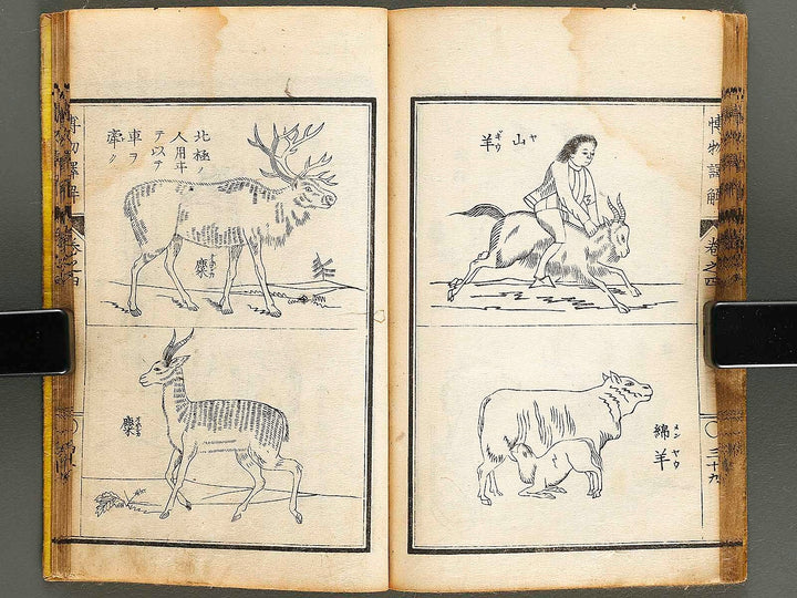 Hakubutsu shinpen yakkai Volume 4 / BJ326-879