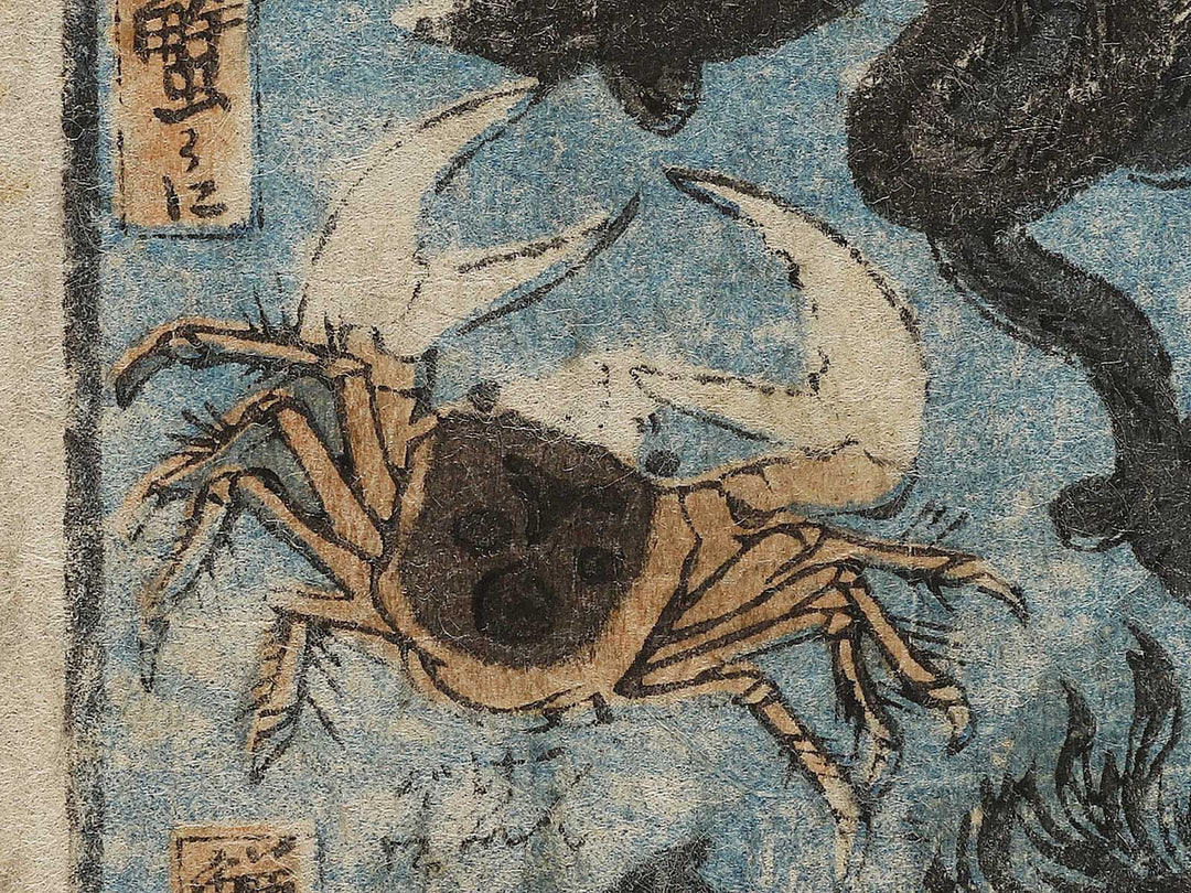 Sakana zukushi / BJ325-836