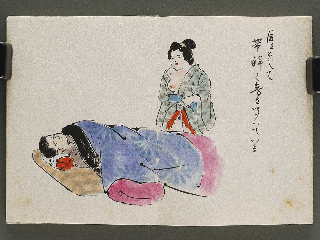 Gendai senryu kaigashu / BJ325-731