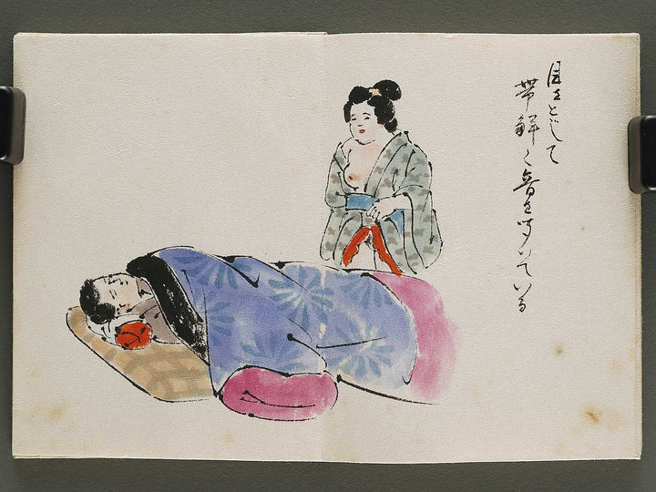 Gendai senryu kaigashu / BJ325-731