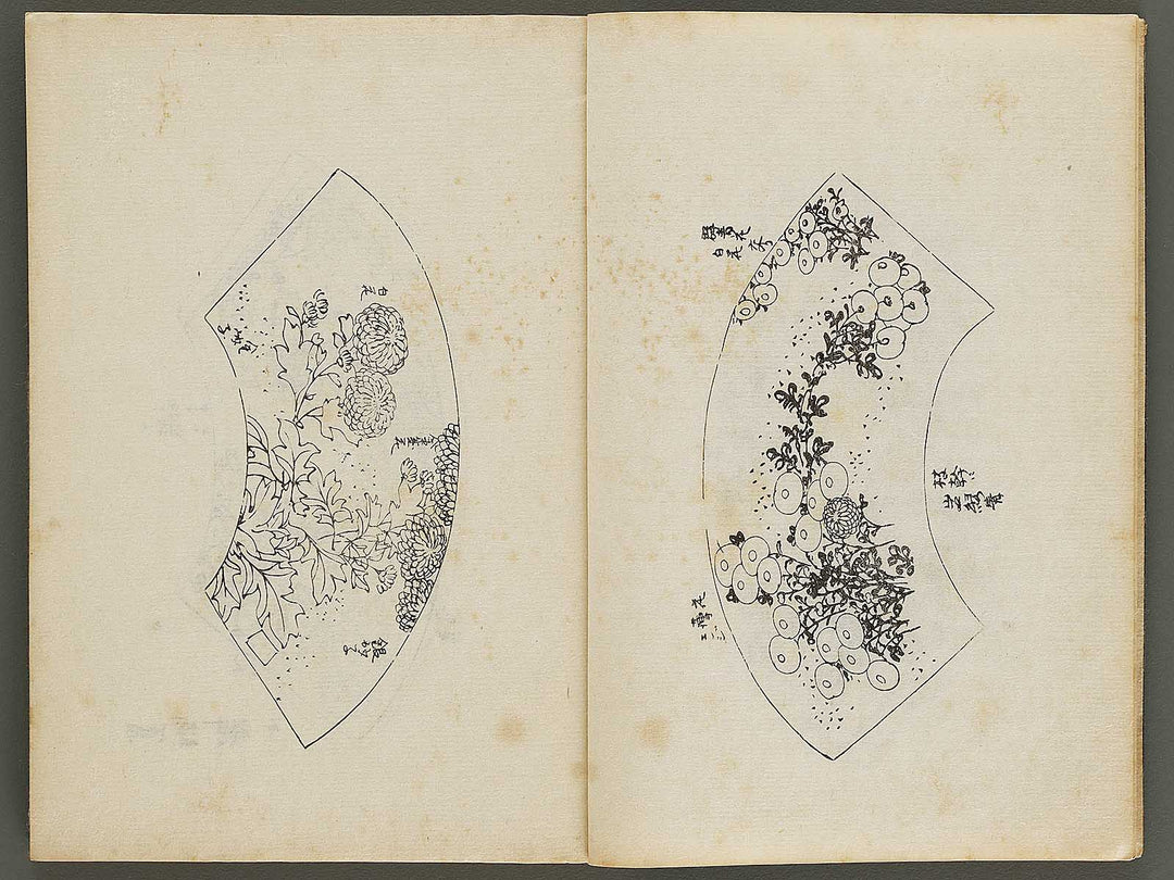 Meiki zukan Volume 6 / BJ328-958