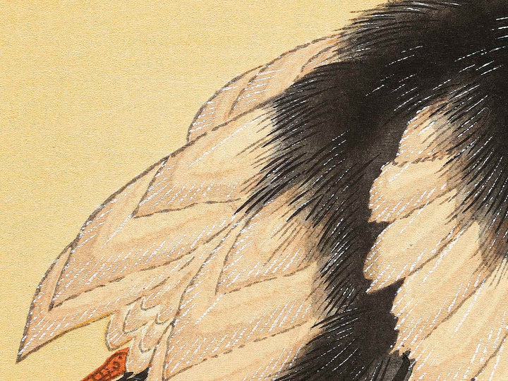 Konotori by Katsushika Hokusai, (Medium print size) / BJ319-634