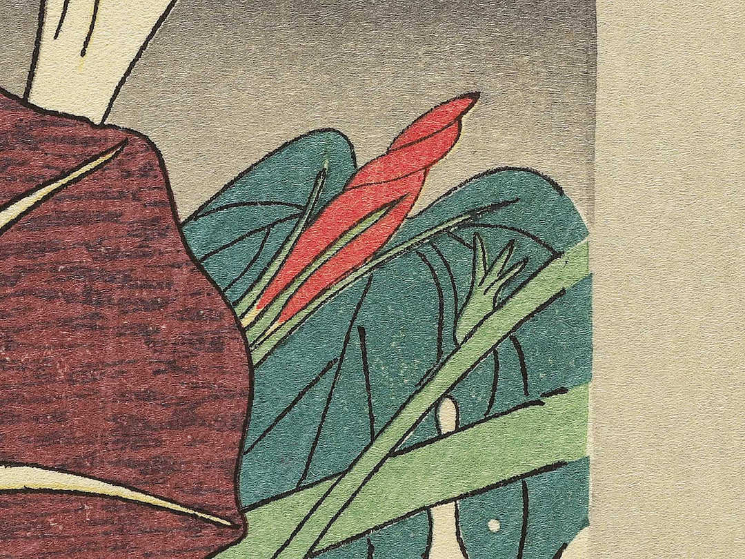 Asagao from the series Shiki no hanazukushi by Utagawa Hiroshige, (Medium print size) / BJ330-547
