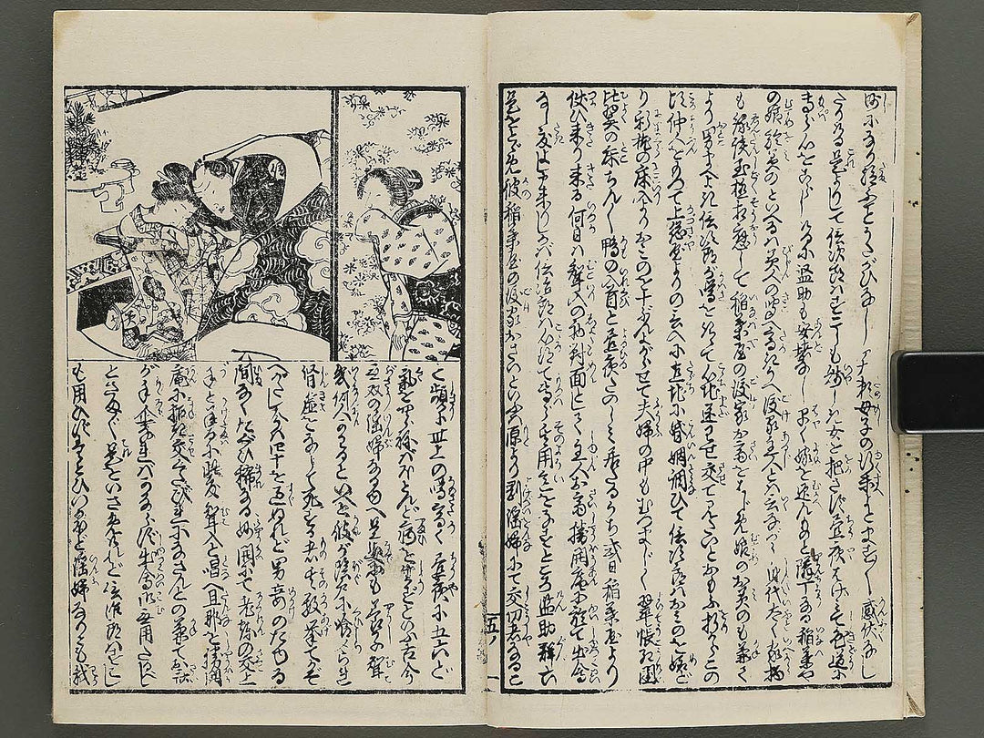 Insho kaiko ki Volume 5 by Utagawa Yoshikazu / BJ345-744