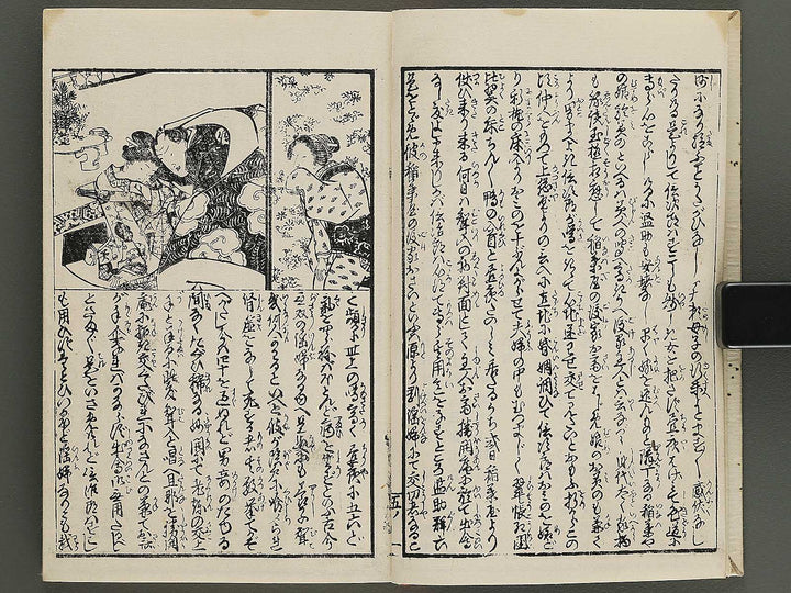 Insho kaiko ki Volume 5 by Utagawa Yoshikazu / BJ345-744
