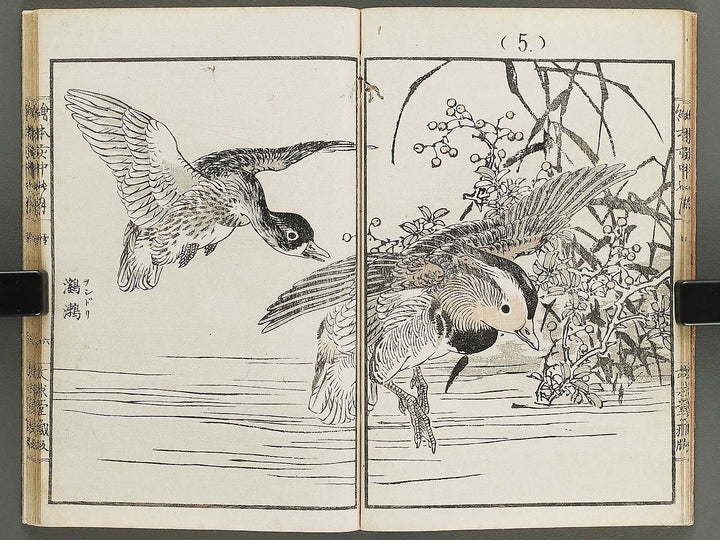 Ehon inaka no tsuki Setsu by Kono Bairei / BJ341-222