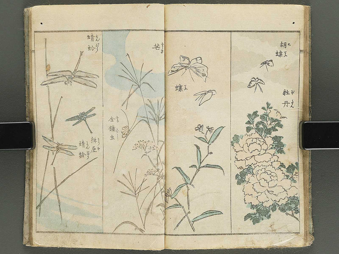 Yanagawa gafu (Jinbutsu sakana mushi) by Yanagawa Shigenobu / BJ348-033