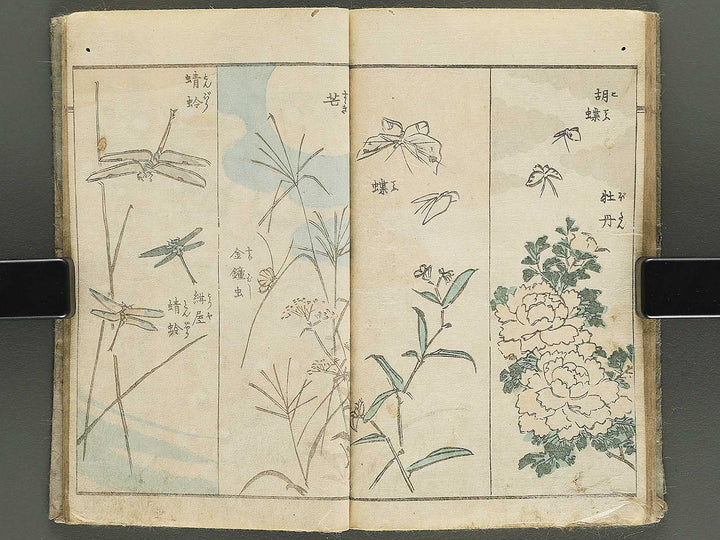Yanagawa gafu (Jinbutsu sakana mushi) by Yanagawa Shigenobu / BJ348-033