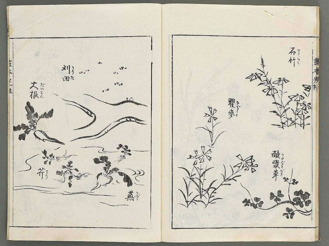 Korin michishirube by Nonomura Chubee / BJ351-134