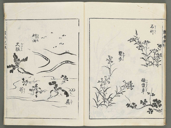 Korin michishirube by Nonomura Chubee / BJ351-134