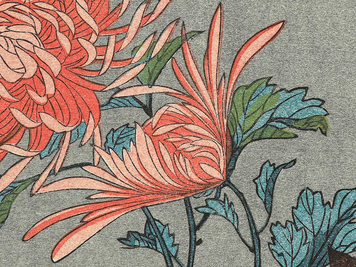 Kiku ni cho by Utagawa Hiroshige, (Large print size) / BJ339-248