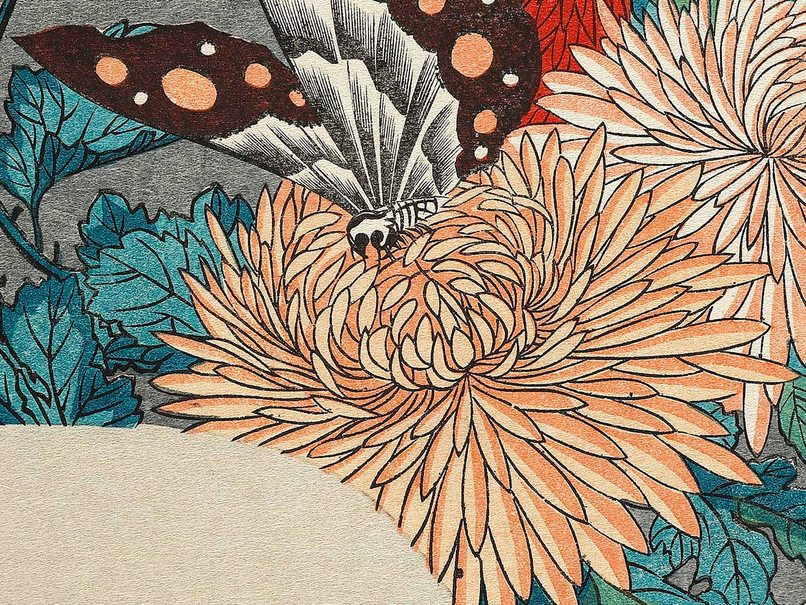 Kiku ni cho by Utagawa Hiroshige, (Large print size) / BJ314 Kiku ni cho by Utagawa Hiroshige, (Large print size) / BJ314