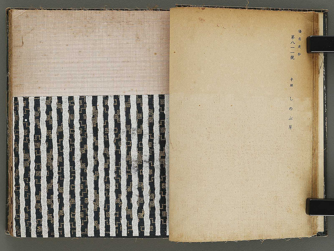 Yushu sarasa / BJ328-510