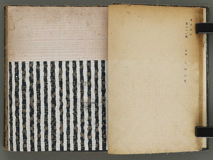 Yushu sarasa / BJ328-510