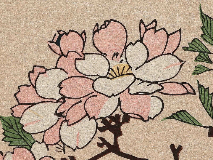 Sakura ni kotori by Utagawa Hiroshige, (Large print size) / BJ323-309