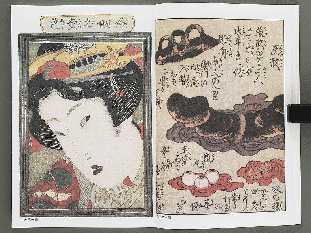 Ezoshi Fuji no yuki Volume 10 by Keisai Eisen / BJ346-472