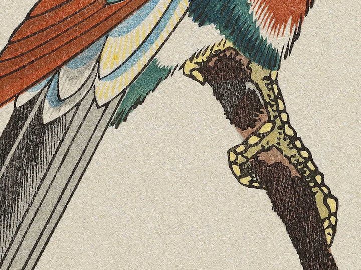 Kaido ni omu from the series Kacho dai tanzakusen by Utagawa Hiroshige, (Medium print size) / BJ328-174
