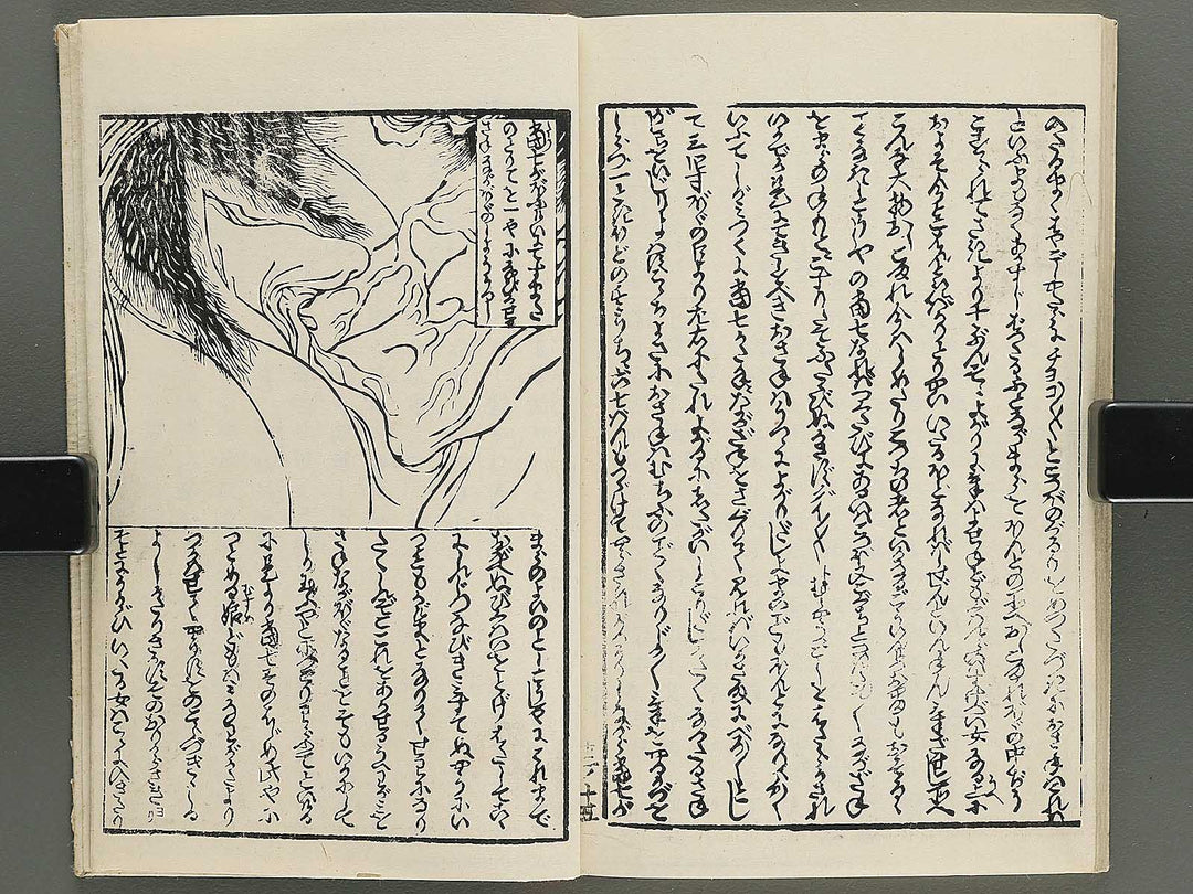 Insho kaiko ki Volume 12 by Utagawa Yoshikazu / BJ345-800