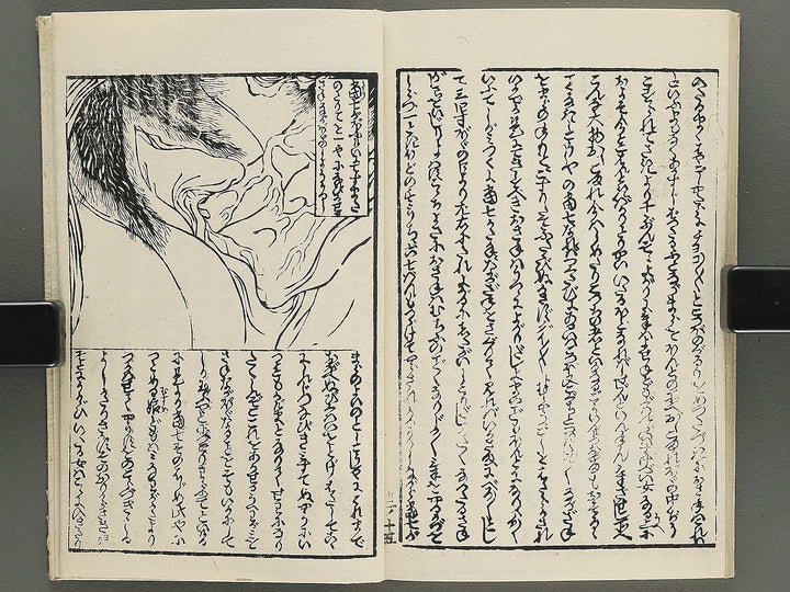 Insho kaiko ki Volume 12 by Utagawa Yoshikazu / BJ345-800