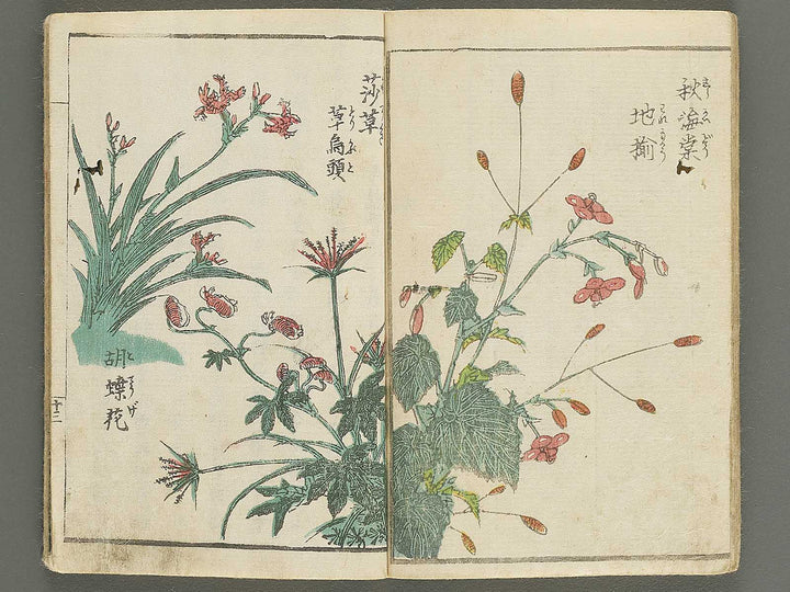 Soka e tehon by Keisai Eisen / BJ348-040