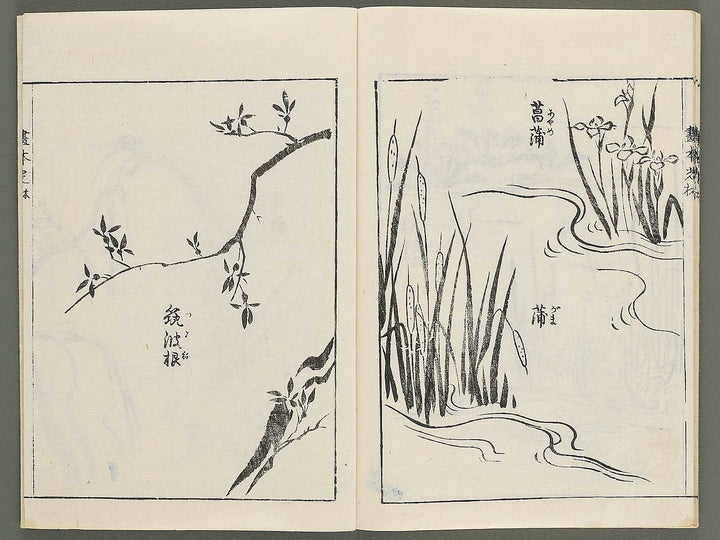 Korin michishirube by Nonomura Chube / BJ351-141