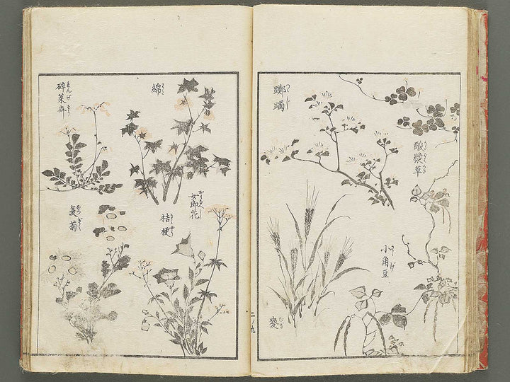 Keisai ukiyo gafu Volume 2 by Keisai Eisen / BJ350-630