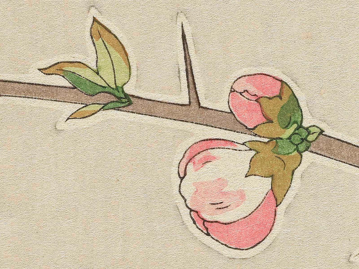 Boke by Kawarazaki Shodo, (Large print size) / BJ346-255