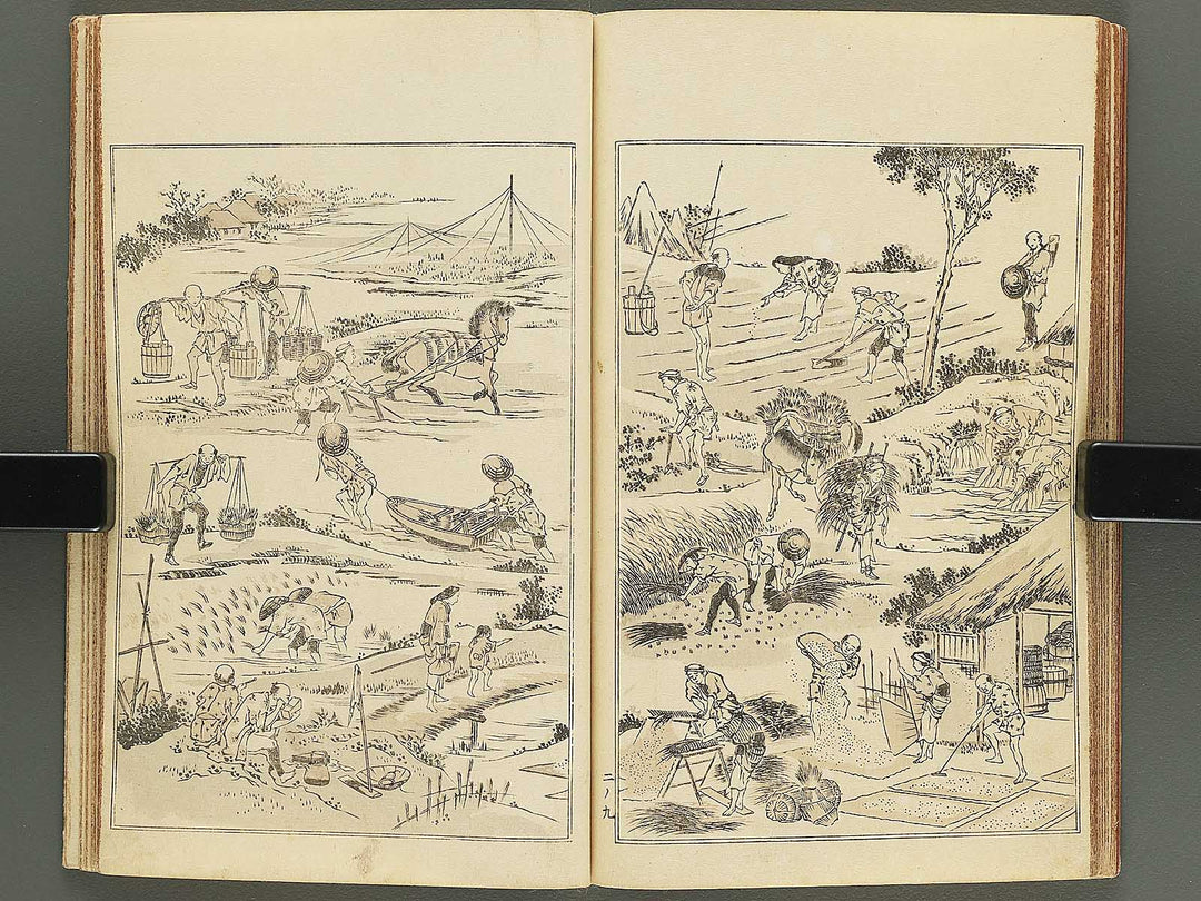Kansai gafu Volume 2 by Ichikawa Kansai / BJ345-100