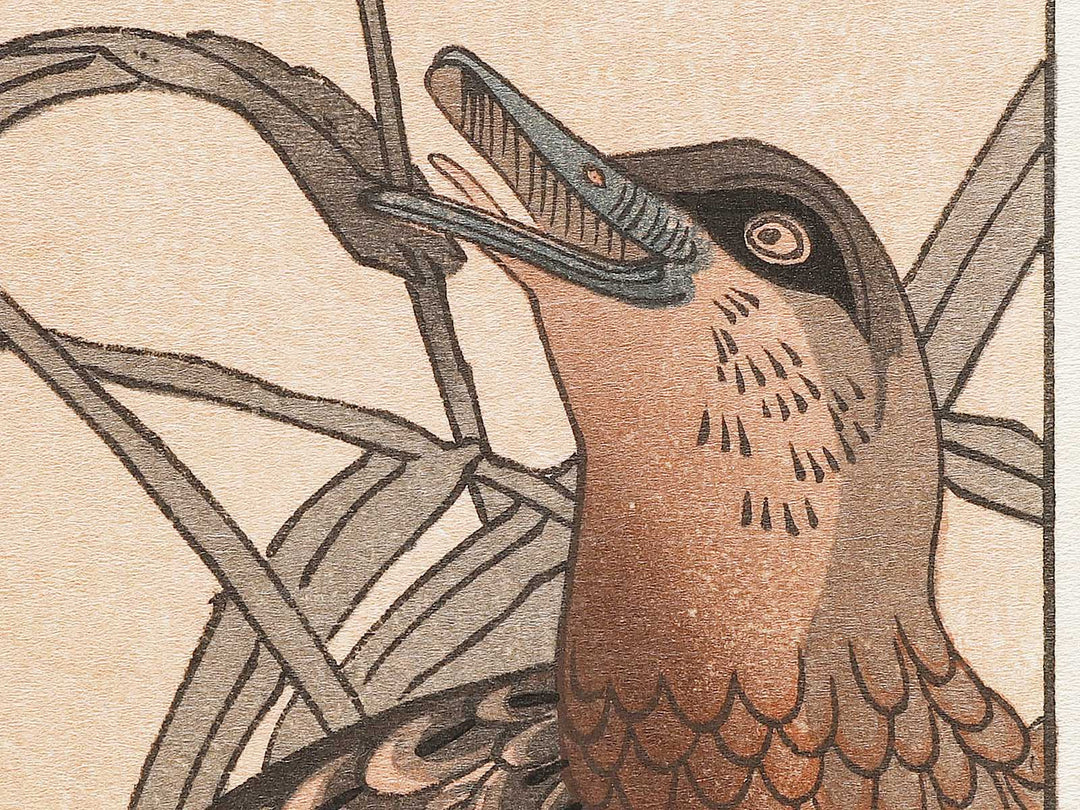 Duck and Kingfisher from the series Momotidori kyoka awase by Kitagawa Utamaro, (Large print size) / BJ331-667