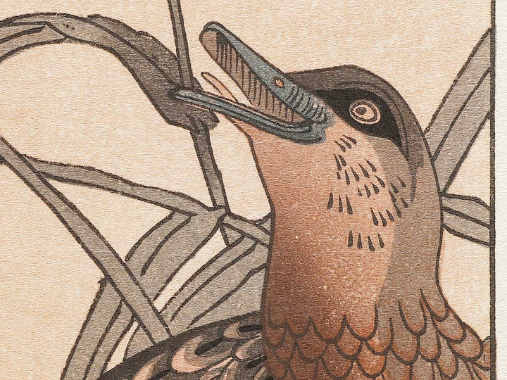Duck and Kingfisher from the series Momotidori kyoka awase by Kitagawa Utamaro, (Large print size) / BJ331-667
