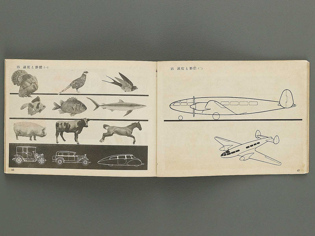 Zuga Volume 1 / BJ349-321