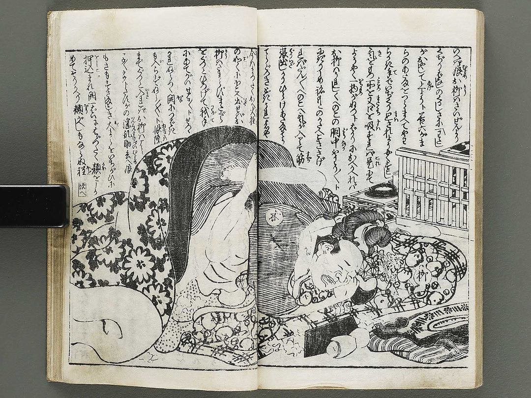 Chigusa no hana futatsu chocho by Utagawa-school / BJ316-183