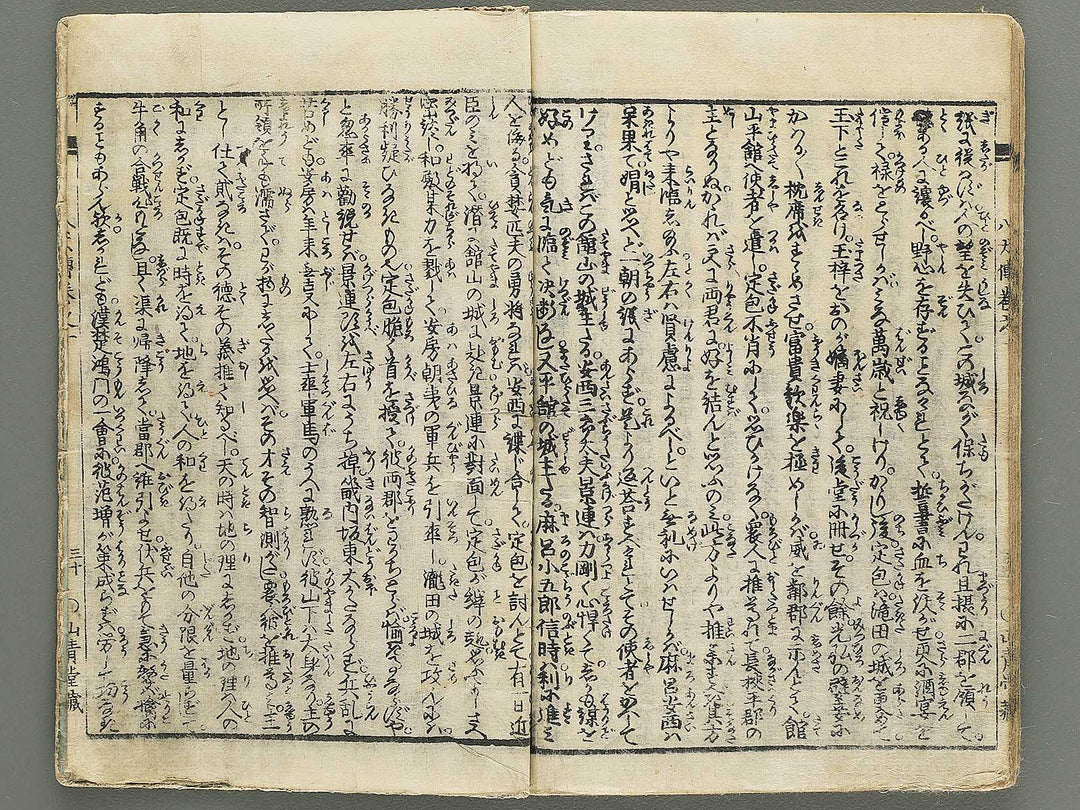 Nanso satomi hakkenden Volume 1 by Yanagawa Shigenobu / BJ347-151