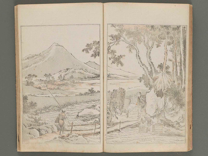 Kansai gafu  Volume 2 by Ichikawa Kansai / BJ272-286