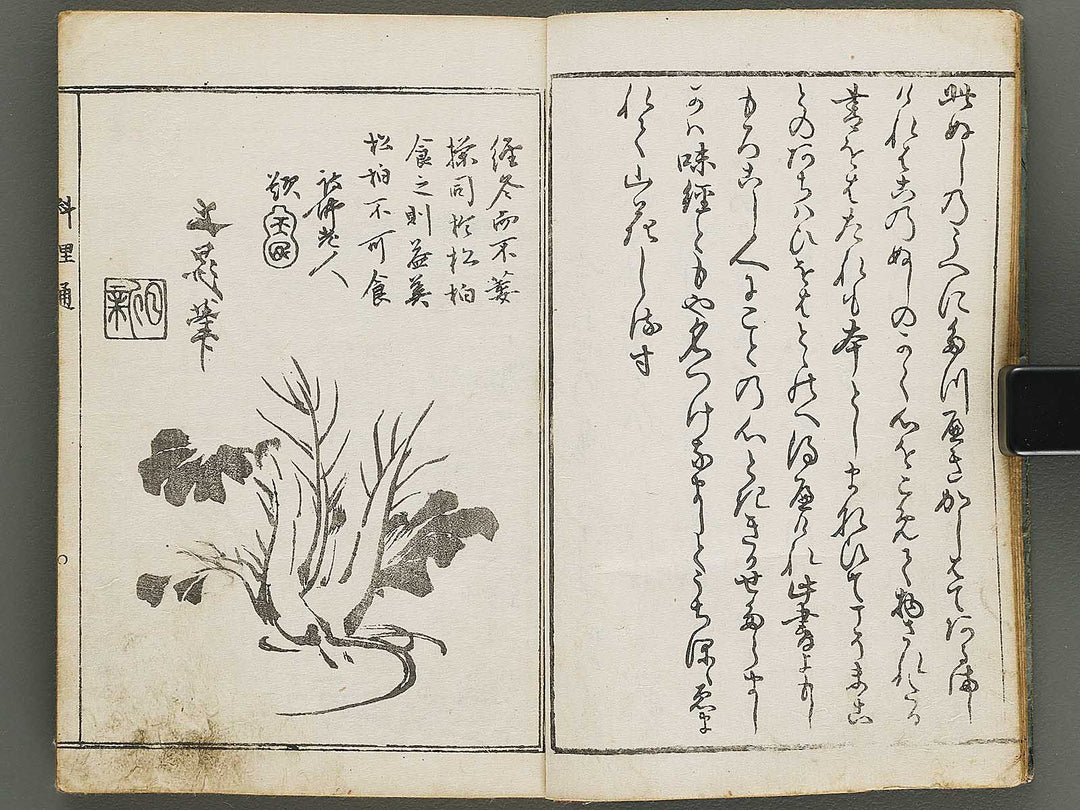 Edoryuko Ryoritsu Part 1 by Kuwagata Keisai / BJ315-413