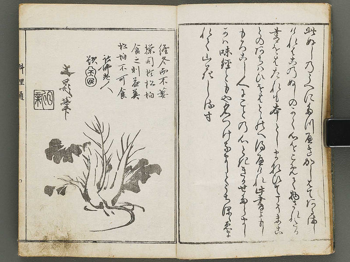 Edoryuko Ryoritsu Part 1 by Kuwagata Keisai / BJ315-413