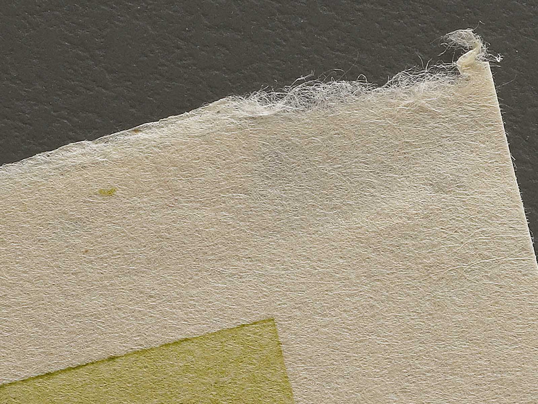 Kisoji no oku amidagataki from the series Shokoku taki meguri by Katsushika Hokusai, (Large print size) / BJ320-551